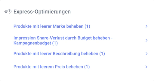 Löse Audit-Ergebnisse sofort mit Express-Optimierungen.
