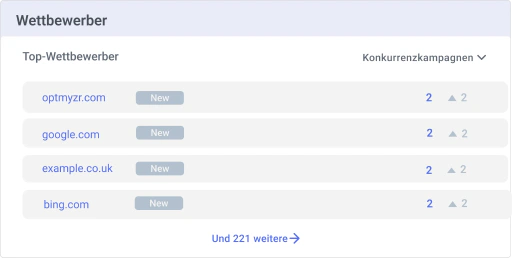 Erkennen Sie Wettbewerber, die auf dieselben Keywords und Produkte abzielen.