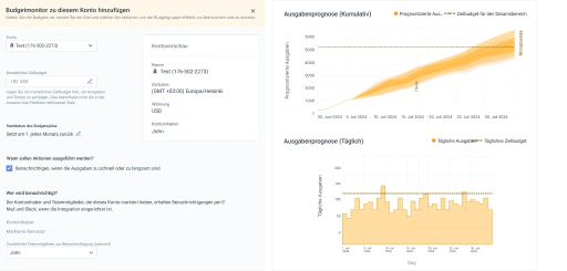 Behalten Sie die Budgetausgaben mit Echtzeit-Tracking und Prognosen im Blick.
