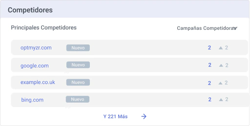 Detecta competidores que apuntan a las mismas palabras clave y productos.