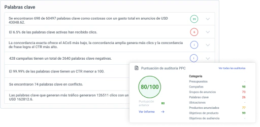 Entrega auditorías de cuenta más perspicaces en menos tiempo.
