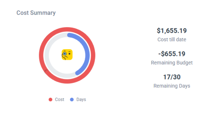 Cost Summary and Pacing