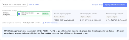 Comprenez quand les budgets sont la limite et quand ils ne le sont pas.