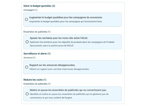 Définissez la logique pour les changements de budget, les pauses ou les enchères en fonction de ce qui est important pour vous.